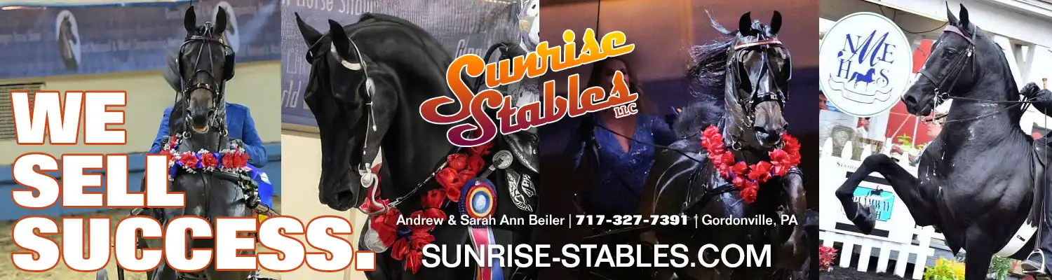 Sunrise Stables LLC - Developing World Champion Prospects