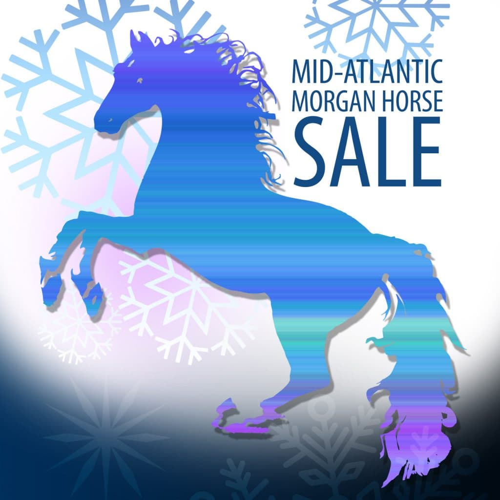 Mid-Atlantic Morgan Sale