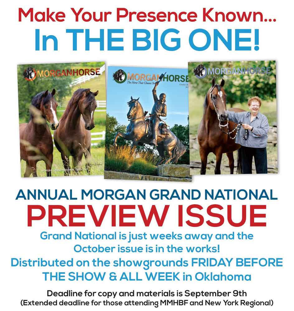The Morgan Horse Magazine OKC Preview Issue