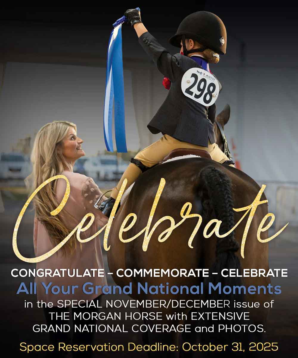 2025-tmh-dec-web The Morgan Horse magazine Dec 2025 issue