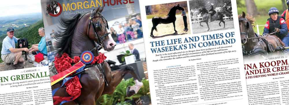 TMH December Collage